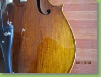 16500 cello 4.jpg